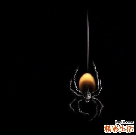 糖尿病能吃中药吗