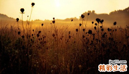 瑜伽能预防糖尿病吗