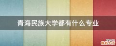 青海民族大学都有什么专业