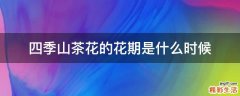 四季山茶花的花期是什么时候