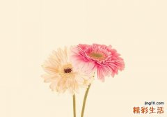 糖尿病预防吃什么补品