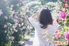 大寒为什么要吃糯米