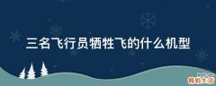 三名飞行员牺牲飞的什么机型