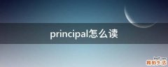 principal怎么读