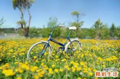 夏季阳虚吃什么好