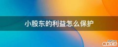 小股东的利益怎么保护