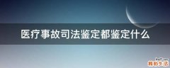 医疗事故司法鉴定都鉴定什么