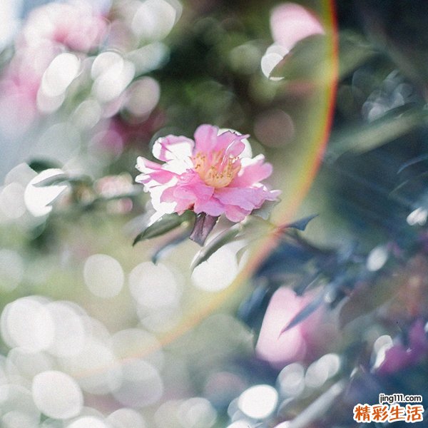 6 揭秘小吃麻辣烫的做法及配方