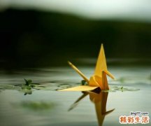 左胫神经恶性神经纤维肉瘤1例