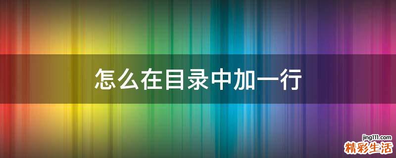 怎么在目录中加一行