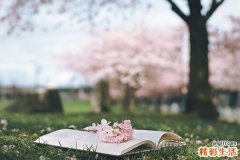 什么是选择性洁癖