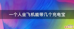 一个人坐飞机能带几个充电宝