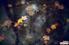 五款烤鱼做法推荐 好吃得停不住嘴