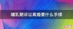 哺乳期诉讼离婚要什么手续