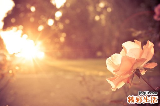 常用药物也会过敏