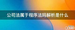 公司法属于程序法吗解析是什么