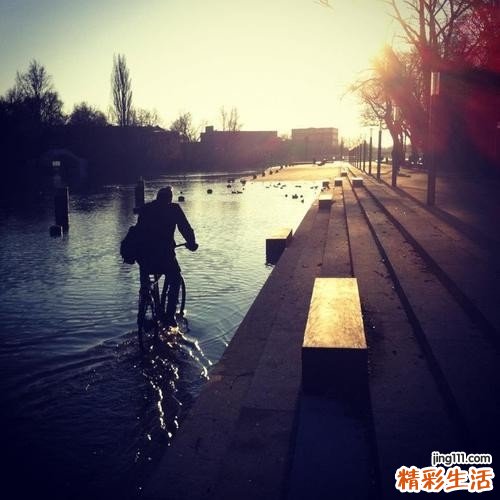 冬至怎么吃狗肉