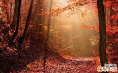 女人血糖低吃什么好