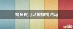 鳄鱼皮可以擦橄榄油吗