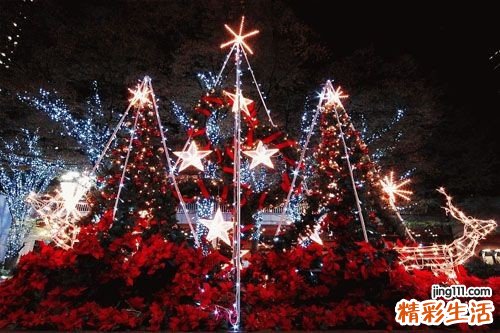 气血不足艾灸灸哪里