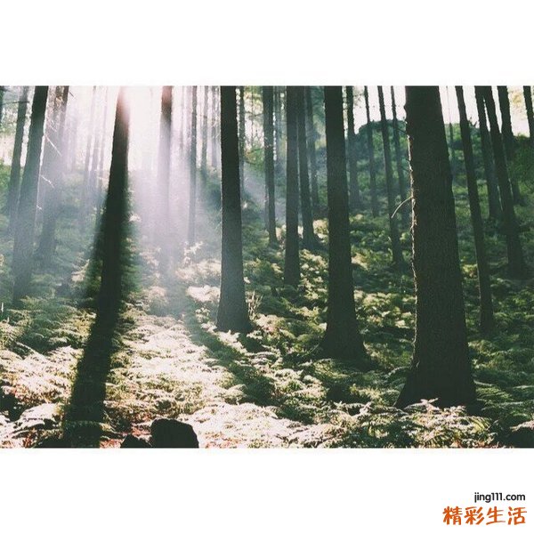 女性阴虚补什么