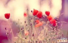 小儿疝气是中气不足吗