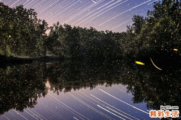 子宫糜烂中度怎么治疗