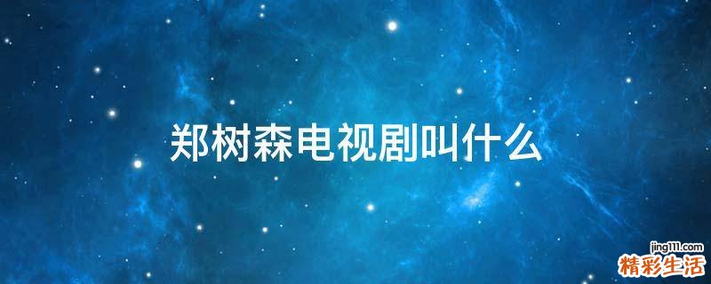 郑树森电视剧叫什么