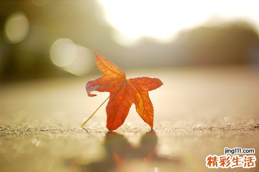 怀孕的时候吵架会怎样