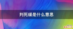 判死缓是什么意思