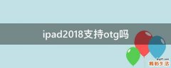 ipad2018支持otg吗