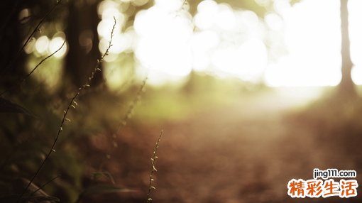 慢性肝衰竭中期可以康复吗