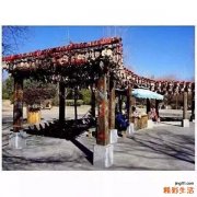 冬至赠鞋习俗的来历