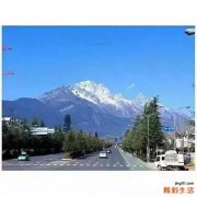 引起耳痛常见病因内容