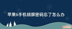 苹果6手机锁屏密码忘了怎么办