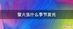 萤火虫什么季节发光