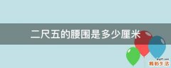 二尺五的腰围是多少厘米