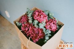 看清IgA肾炎其实不可怕