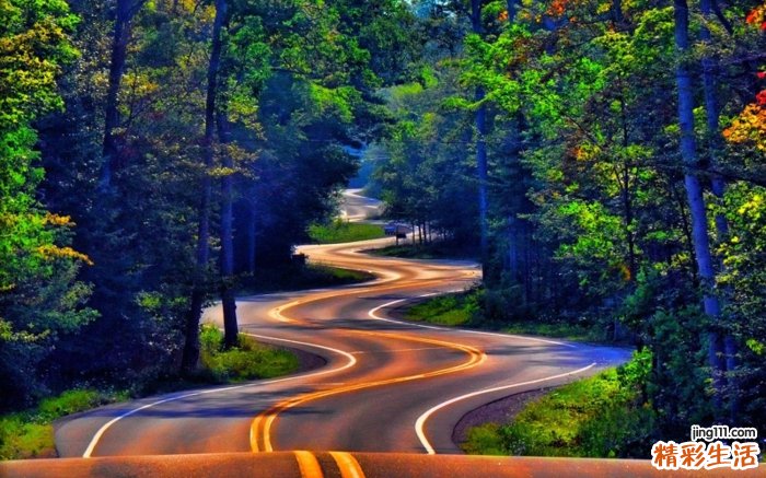 尿毒症患者吃红参好吗