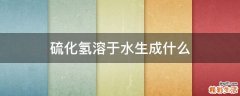 硫化氢溶于水生成什么