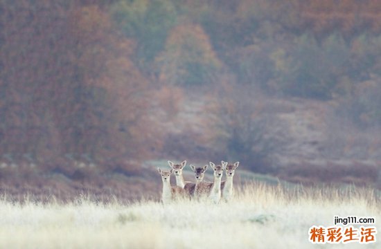 血糖两个加号严重吗