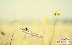 “闭经”的概念及分型