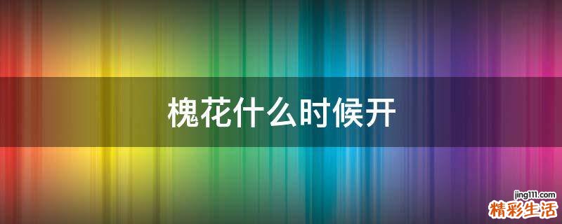 槐花什么时候开