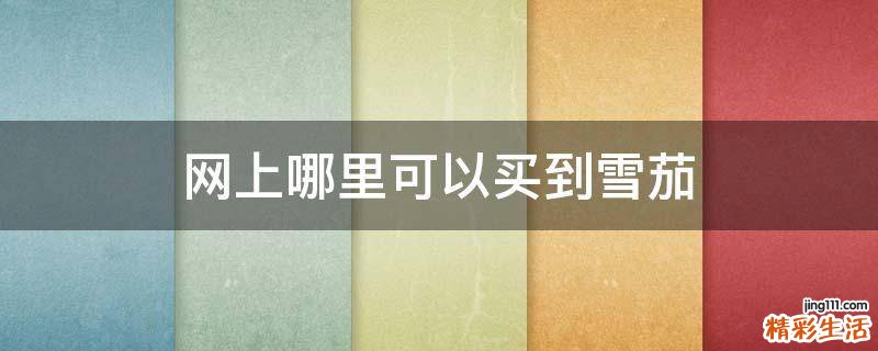 网上哪里可以买到雪茄
