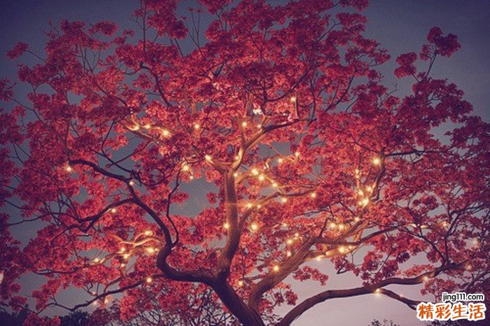 糖尿病喝羊奶好吗