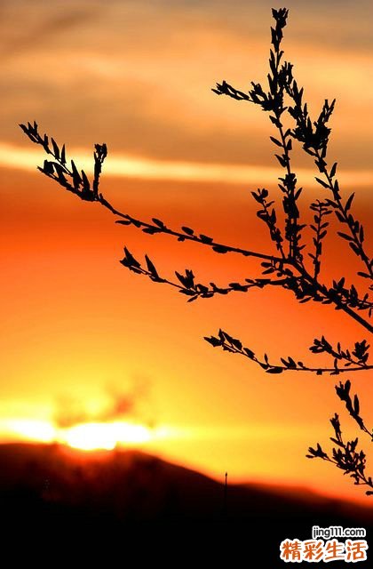 三伏天灸哪里最好