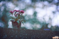 胃结节是什么病