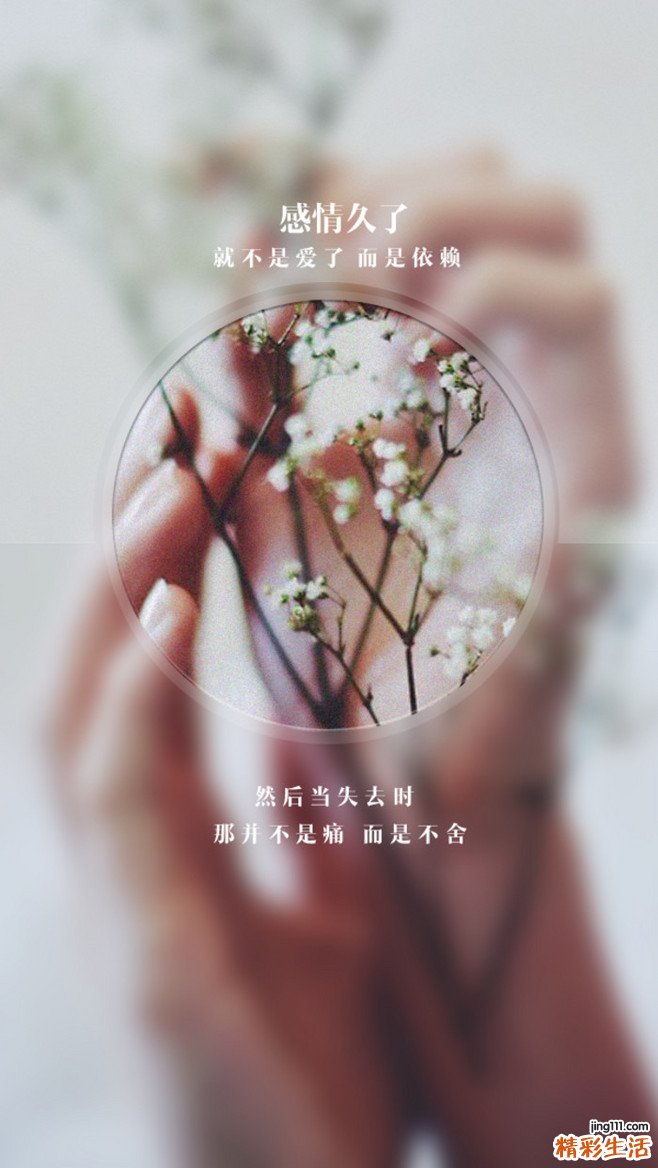 白切鸡的各种做法