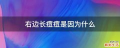 右边长痘痘是因为什么