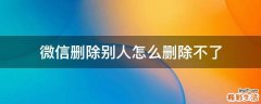 微信删除别人怎么删除不了